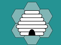 Caring for the Sexual Assault Patient  - Session 2  (Understanding the Laws that Impact Sexual Assault care) Banner